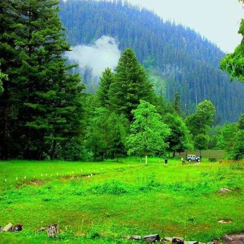 listing-details-carousel